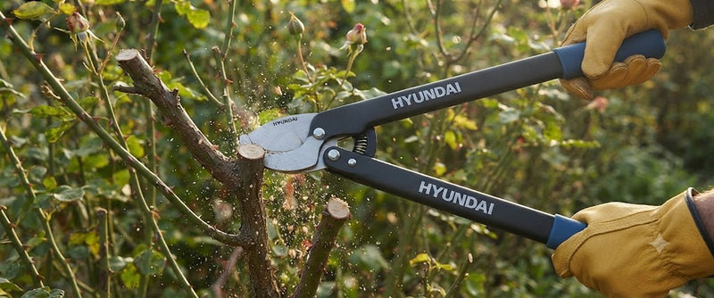 Tijeras para Ramas Altas | G11008 | 52 cm