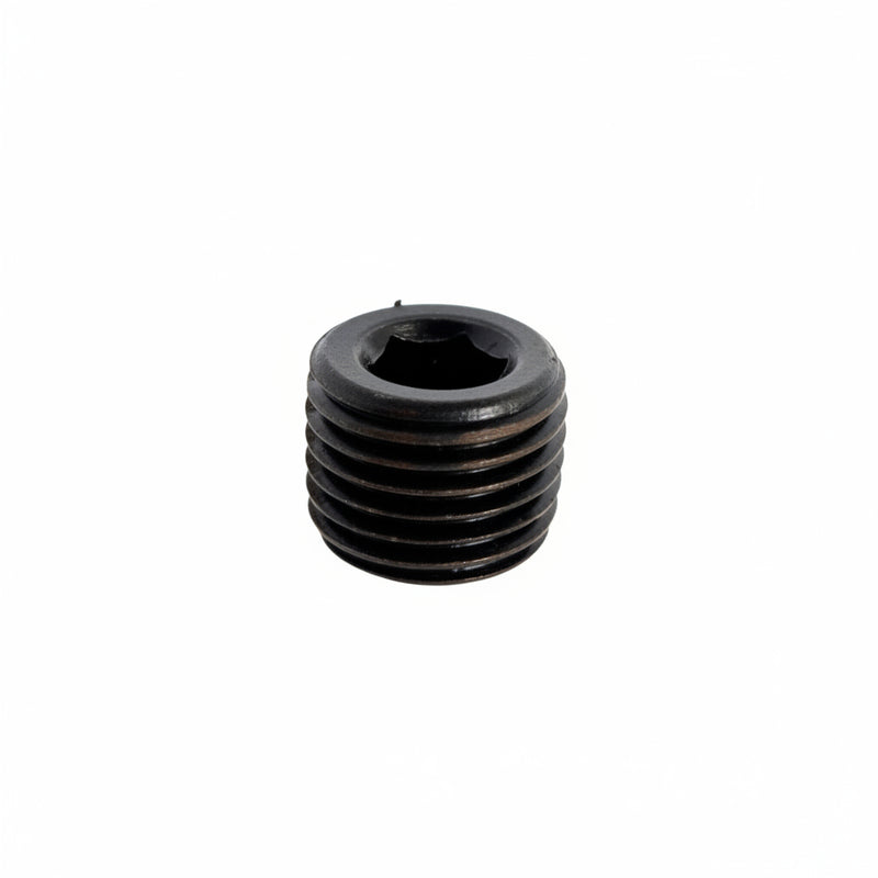 P009876 Tapon de Caja de Valvula Chicago Pneumatic | VALVE CASE PLUG