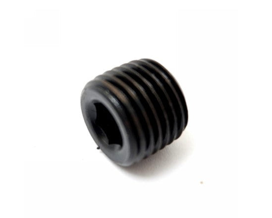 P009876 Tapon de Caja de Valvula Chicago Pneumatic | VALVE CASE PLUG