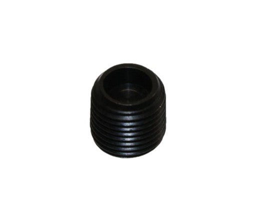 P009876 Tapon de Caja de Valvula Chicago Pneumatic | VALVE CASE PLUG