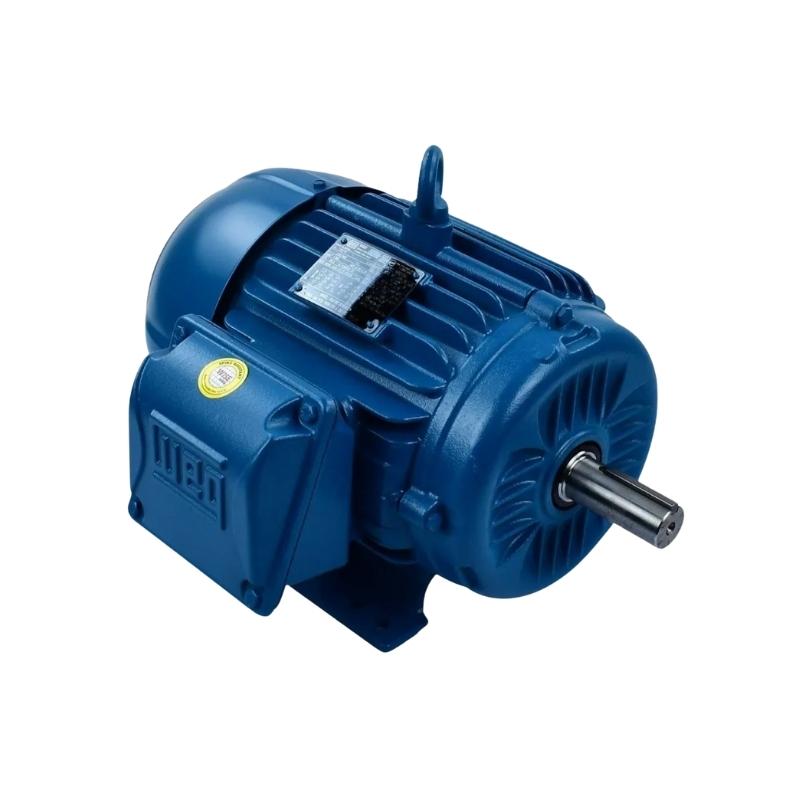 Motor Eléctrico Trifásico WEG W22 20 HP 8 Polos 900 RPM