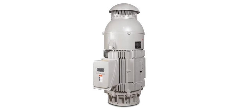 Motor Eléctrico Vertical Flecha Hueca 250 HP 4 Polos 1800 RPM