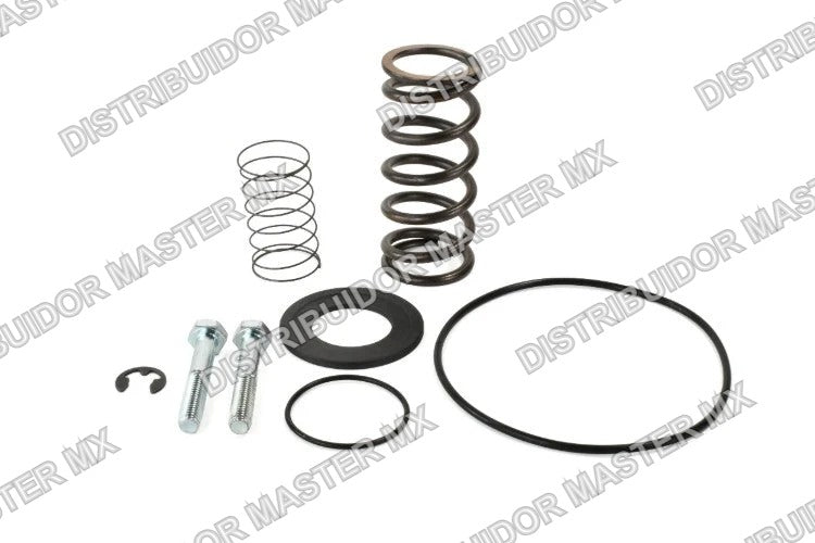 Kit de Válvulas Chicago Pneumatic, Refacción Original